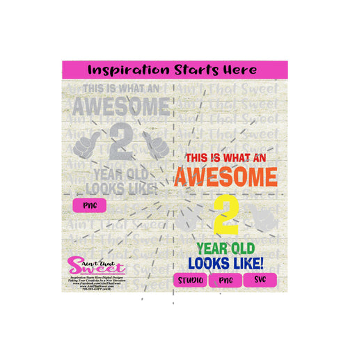 This Is What An Awesome 2 (Two) Year Old Looks Like | Thumbs Up - Transparent PNG, SVG  - Silhouette, Cricut, Scan N Cut