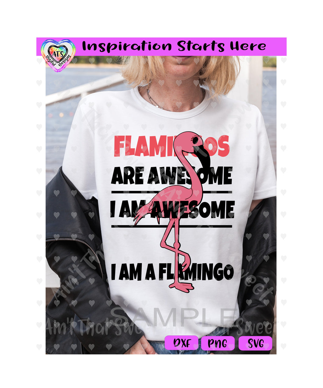 Flamingos Are Awesome | I Am Awesome | Therefore I Am A Flamingo - Transparent PNG SVG DXF - Silhouette, Cricut, ScanNCut