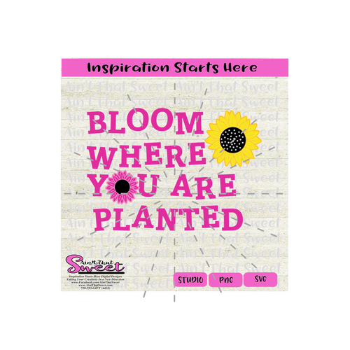 Bloom Where You Are Planted - Transparent PNG, SVG  - Silhouette, Cricut, Scan N Cut